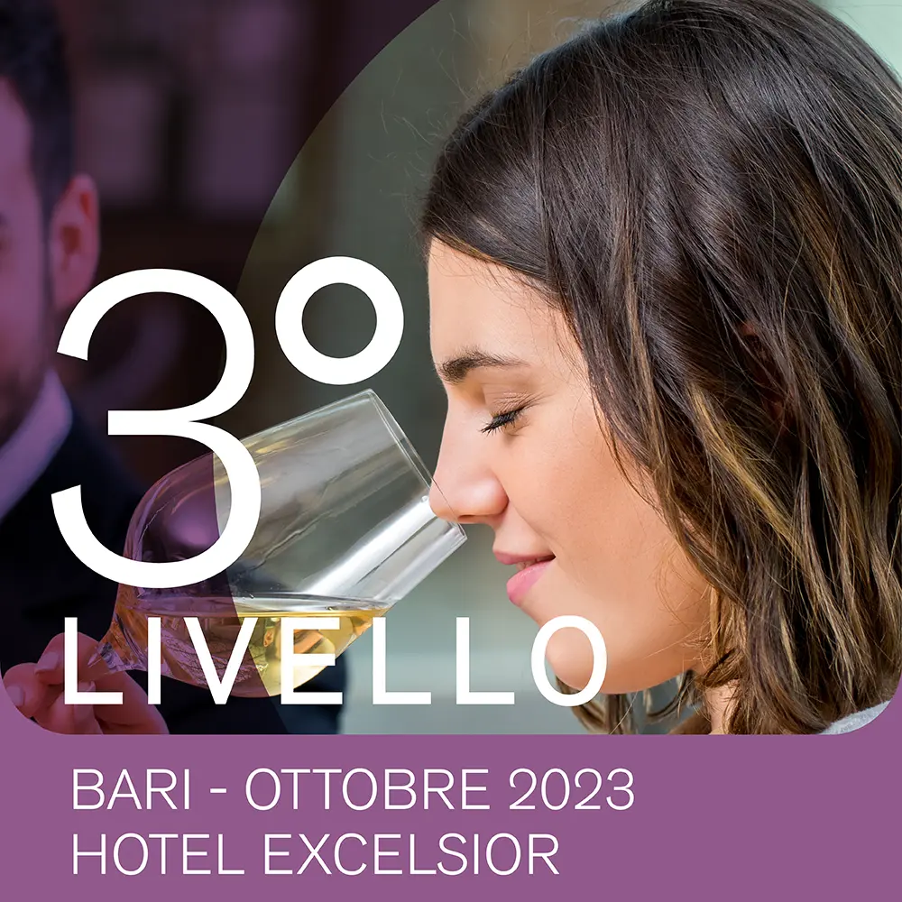 corso-livello-3-bari-excelsior-ottobre-2023-sommelier-ais-puglia