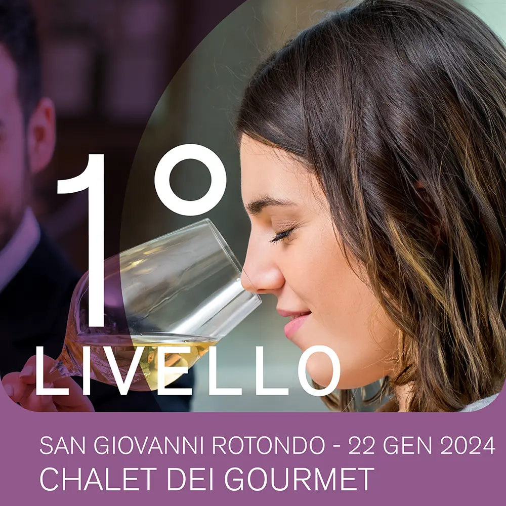 corso-livello-1-san-giovanni-rotondo-gennaio-2024-sommelier-ais-puglia